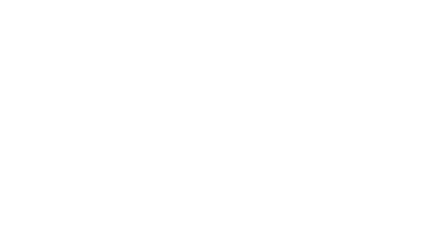 White The Salty logo